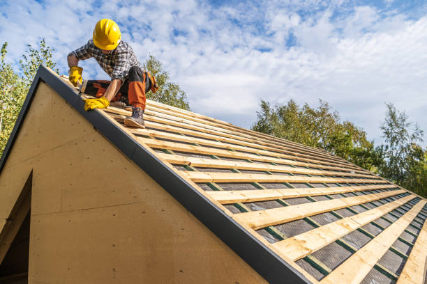 Best Roof Gutter Cleaning  in Thermalito, CA